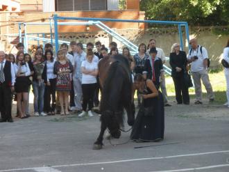 2011